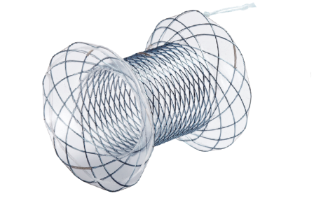 Biliary NAGI Pseudocyst drainage Stent