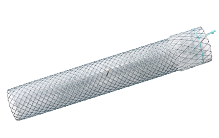 Niti-S™ Esophageal Conio Stent